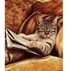 42 cat reading with glasses