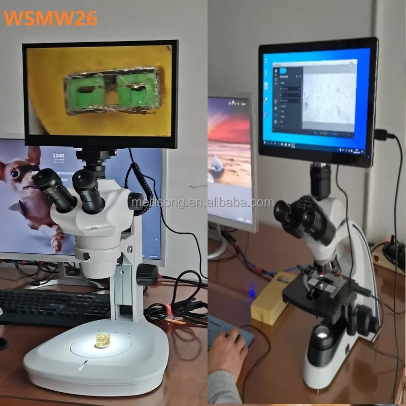 Wsmsw1001t Inverted Microscope Electron Microscope Price Olympus Microscope Buy Inverted