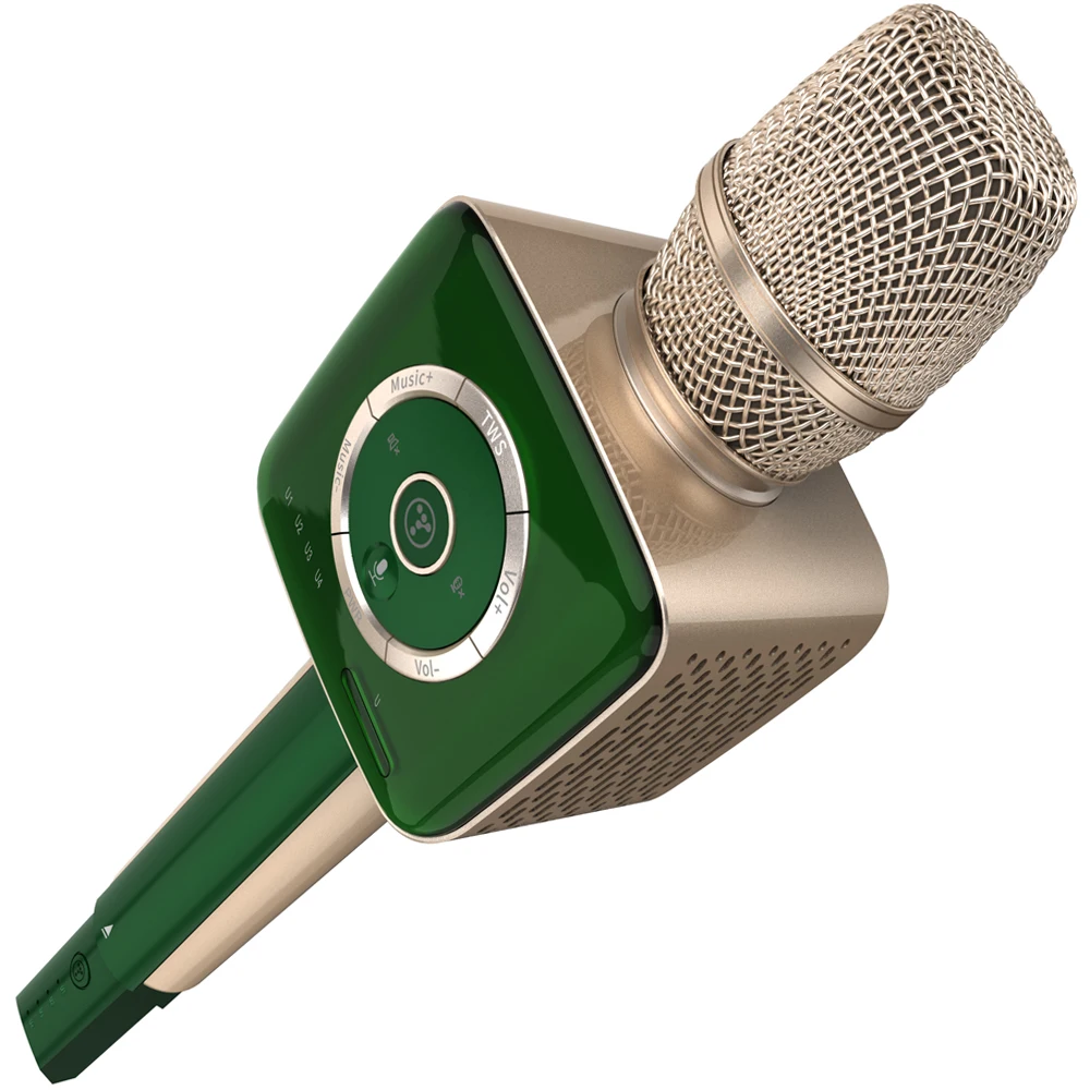 TOSING-Machine de Karaoké Professionnelle V1 Pro pour Adulte, Microphone de  Chanteur UHF Bluetooth 20W, Haut-Parleur pour Chanter des Médailles, TV