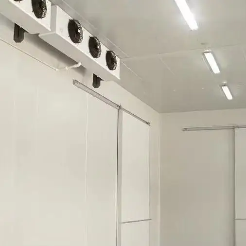 Industrial high-efficiency walk-in freezer large-capacity food-grade cold storage suitable for pork slaughter lines