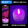 Button powder light