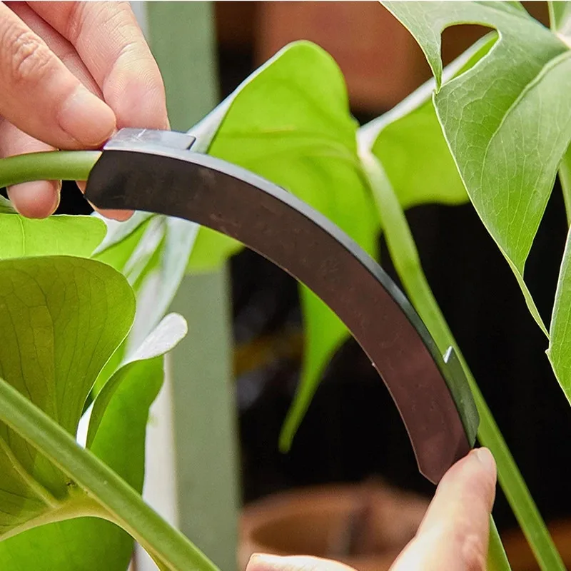 Plants Fruit Trees Branch Pulling Device Twist Branch Potted Plant Shape Bending Tool Hold Clip to Pull Open Angle Branches