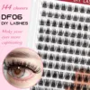 DF06