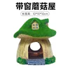 Mushroom house with window