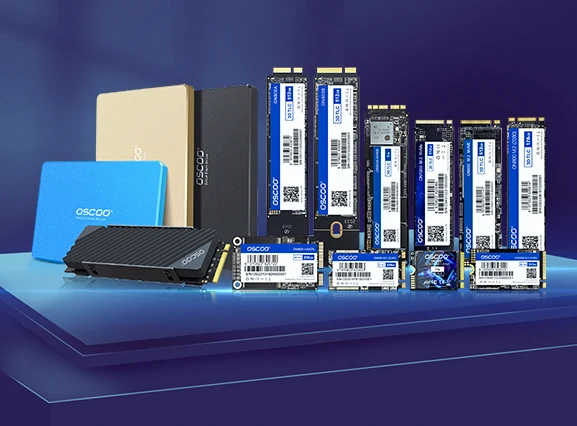 512GB NVMe M.2 SSD PCIe 3.0 - Fast Solid State Storage with 256GB