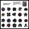 B Noche Eterna, Restos Florales - Negro