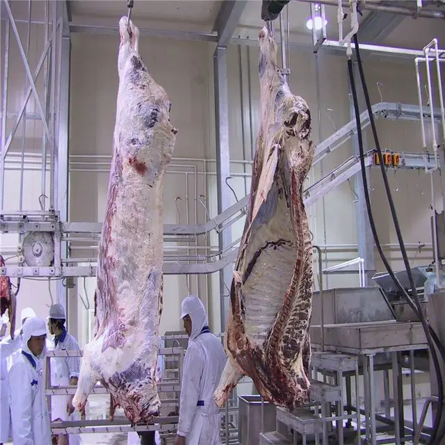 Pig carcass cutting saw in pig slaughterhouse