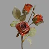 สีส้ม