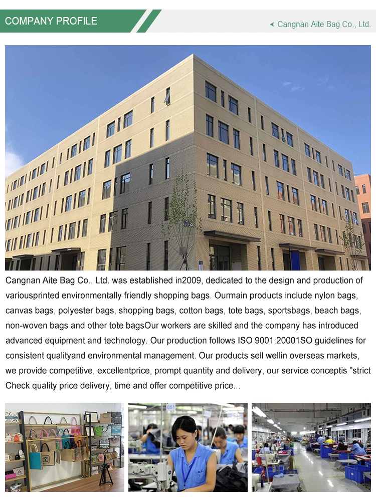 Wholesale Eco-Friendly Large Capacity Cotton Tote Bag Custom Logo Printing on Plain Canvas for Women Personalized Shopping Bag manufacture