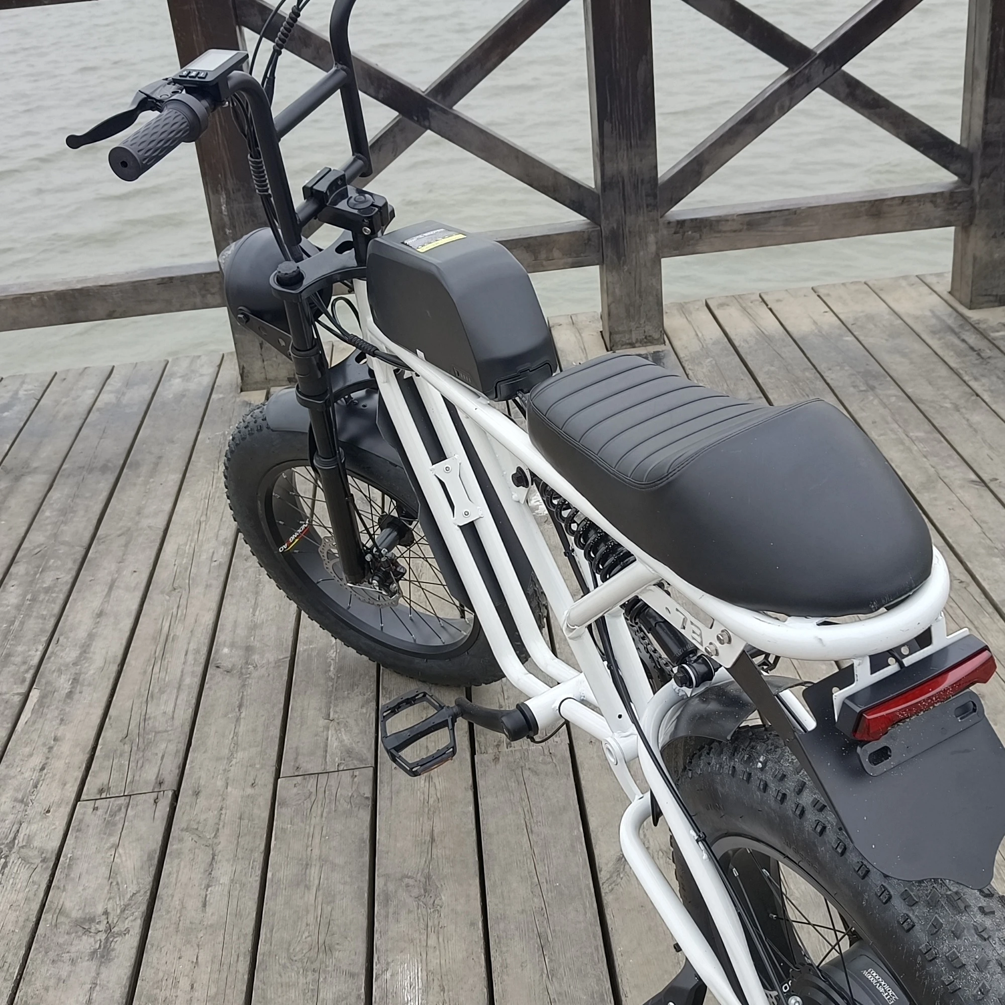 Hot Sale Ebc-4 Battery Bikes D Mountain 