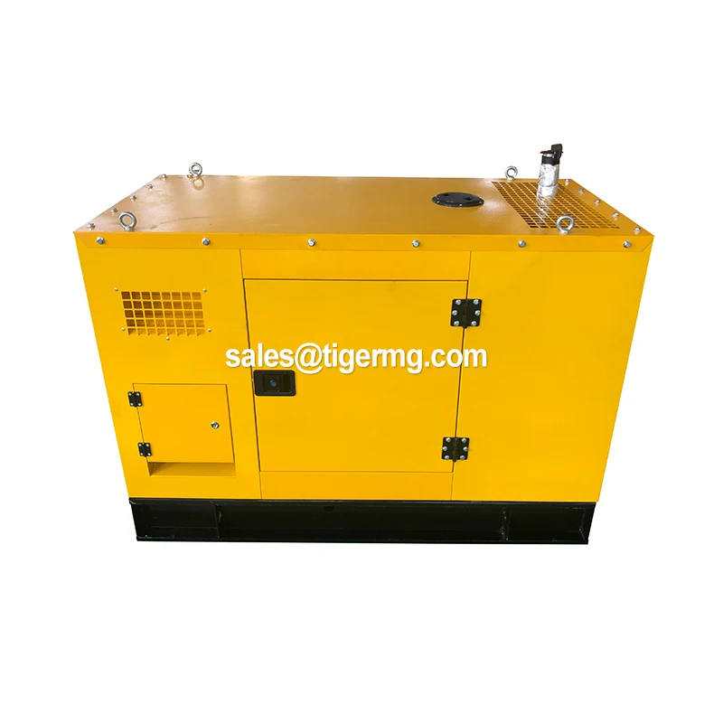 250Kva Single Phase Diesel Generator with Remote Start Air Cooled & Copper Radiator Competitive Price