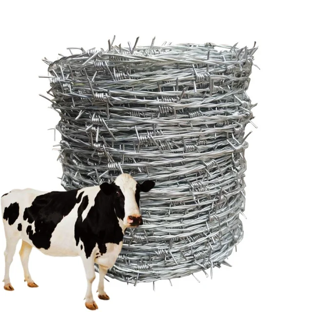 hot selling Galvanized Barbed Wire Farm mesh Fence 500m 50kg Per Roll Barb Roll Razor Wire Factory for Sale