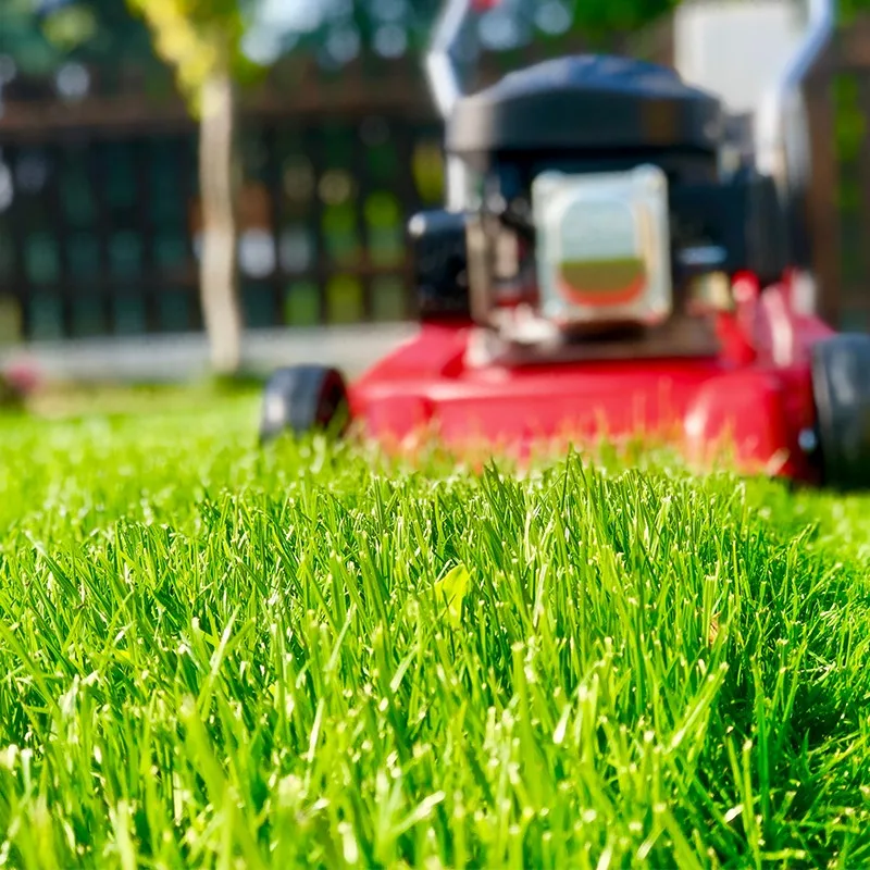 High Quality 139cc Tools Automatic Hand Push Garden Lawnmower Mulching Machine Lawn Mower
