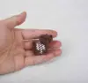 Piccolo cane da caffè