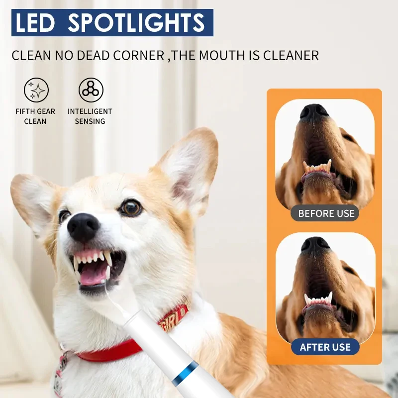 Ultrasonic Dog Teeth Cleaning Kit With LED Light for Pet  With 3 Modes for Teeth Care