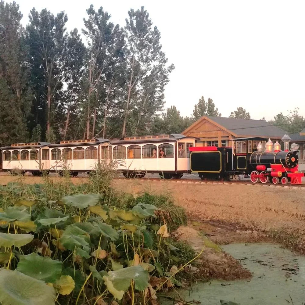 Суперэлектрический Трековый поезд для парка развлечений на 100 мест