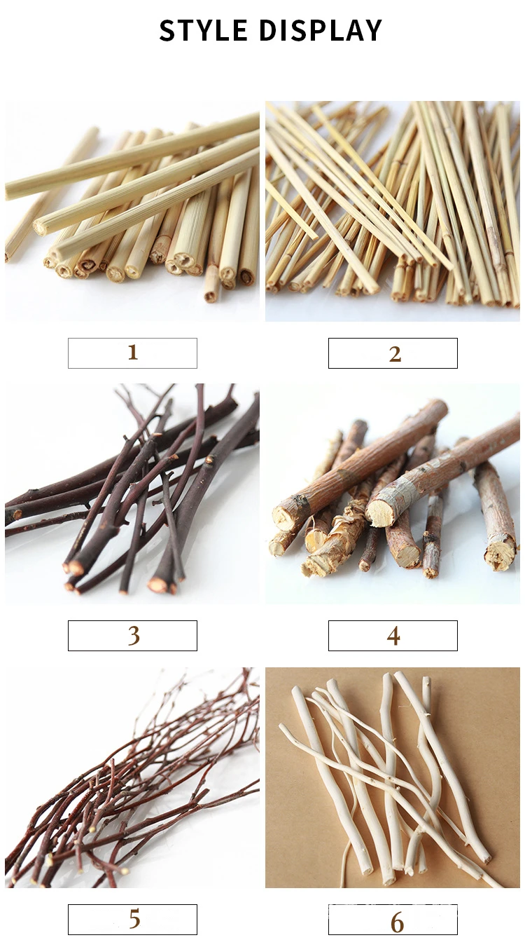 V222 High Quality Preserved Plants Eternal Real Dried Branches Diy