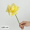 Giallo-chiaro