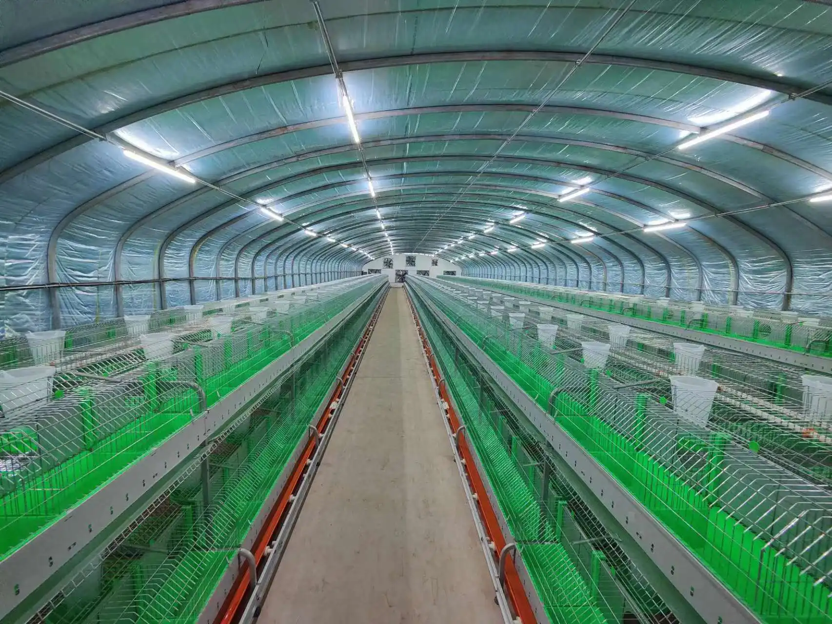Commercial Rabbit Cages - Durable and Efficient Breeding
