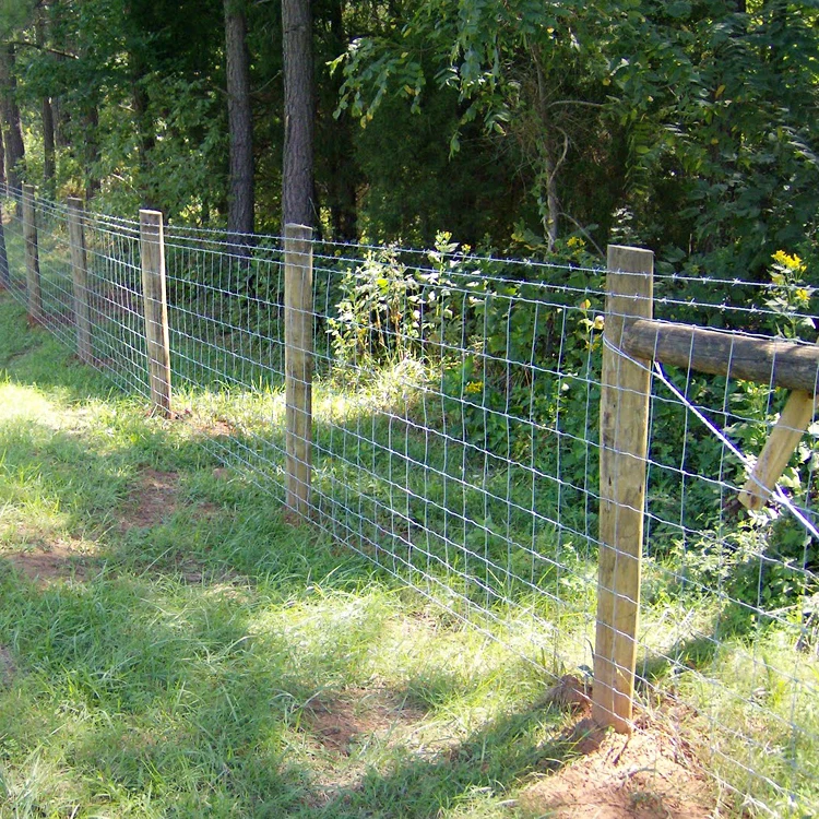 Factory Produced 8ft Galvanized Sheep Fence, Anti-rust and Anti-corrosion, Chain Link Fence with Uprights  Cattle Fence
