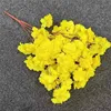 Giallo