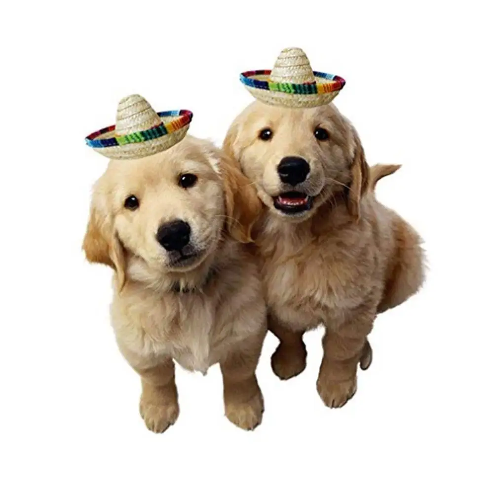 Creative Mini Pet Dogs Straw Hat 