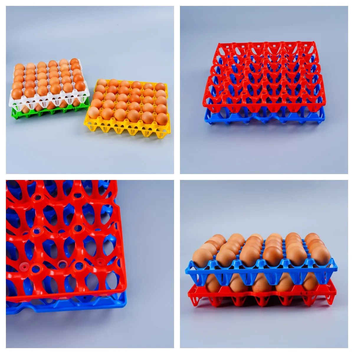 Suppliers 6 12 15 18 20 30 Grids Biodegradable Packaging Carton Chicken