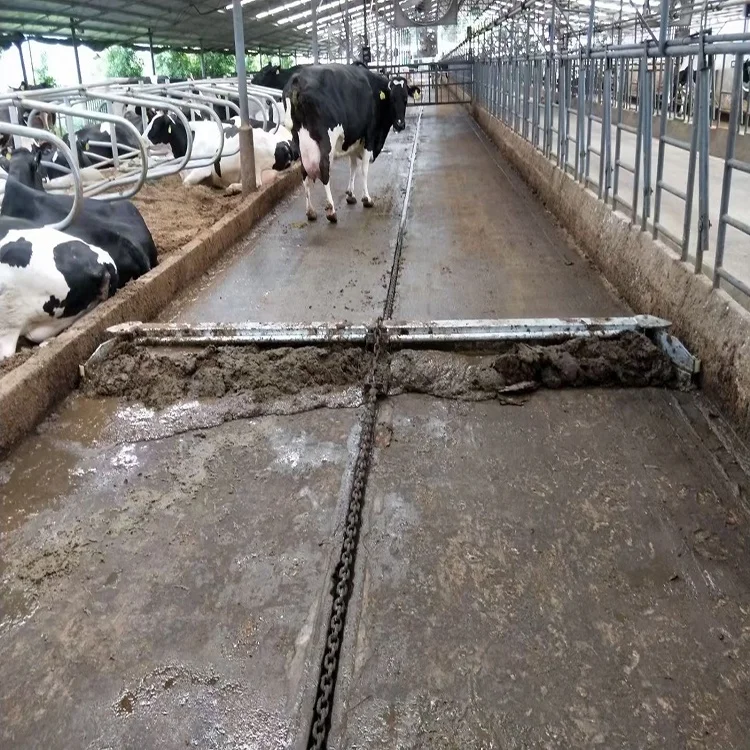 Automatic Manure Cleaning System Dung Scraper Machine for Farm