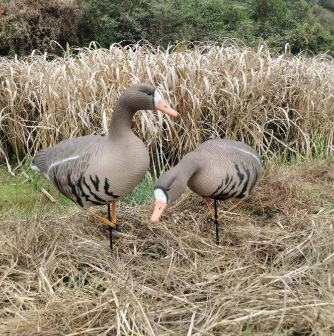 Outdoor Garden Decoration Decoy Geese Plastic Specklebelly Goose Decoys