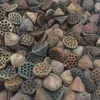 natural brown 1kg