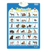 animal anglais 02