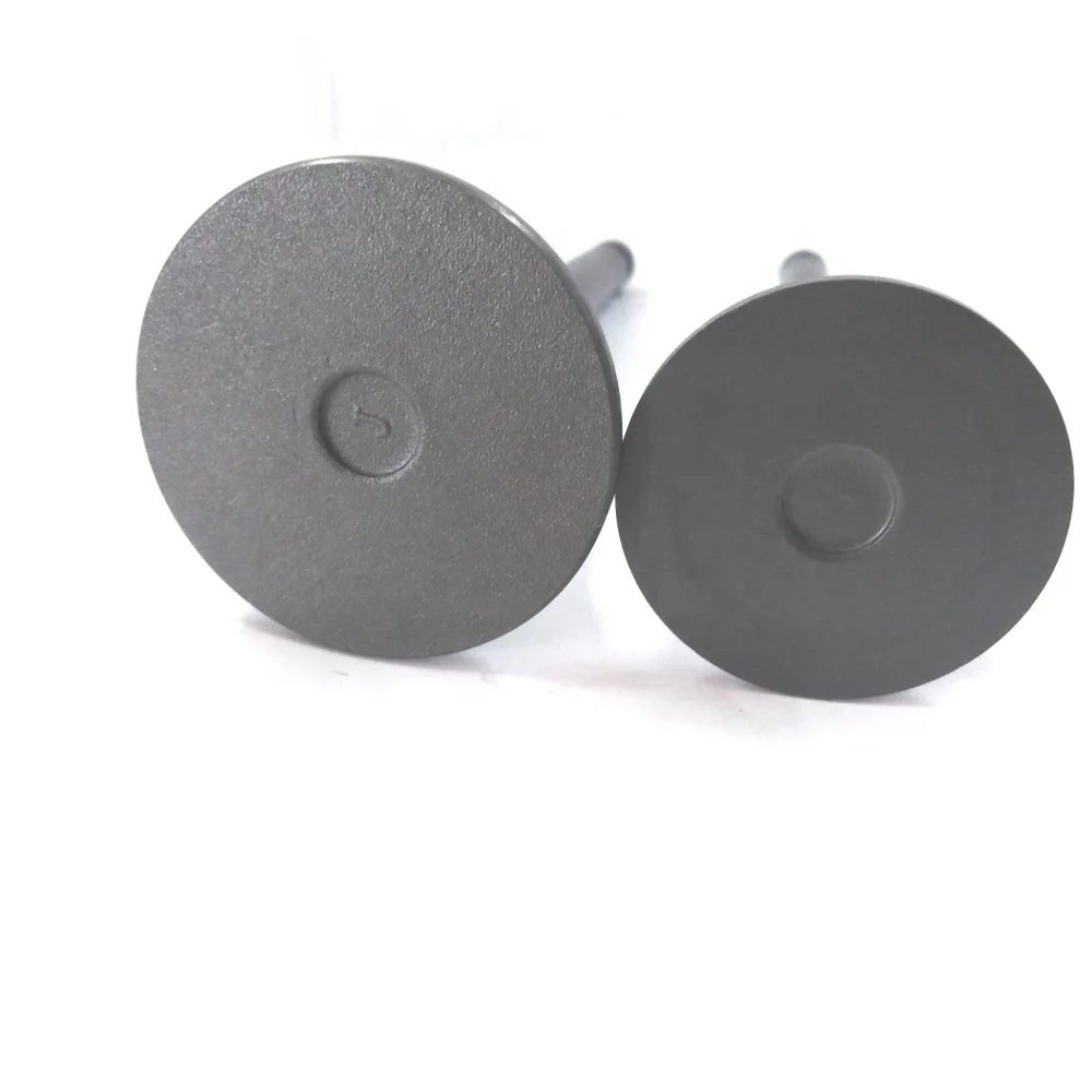 JT Engine Intake Exhaust Valve Used for Kia Pregio Engine for Sale