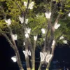 White light without base