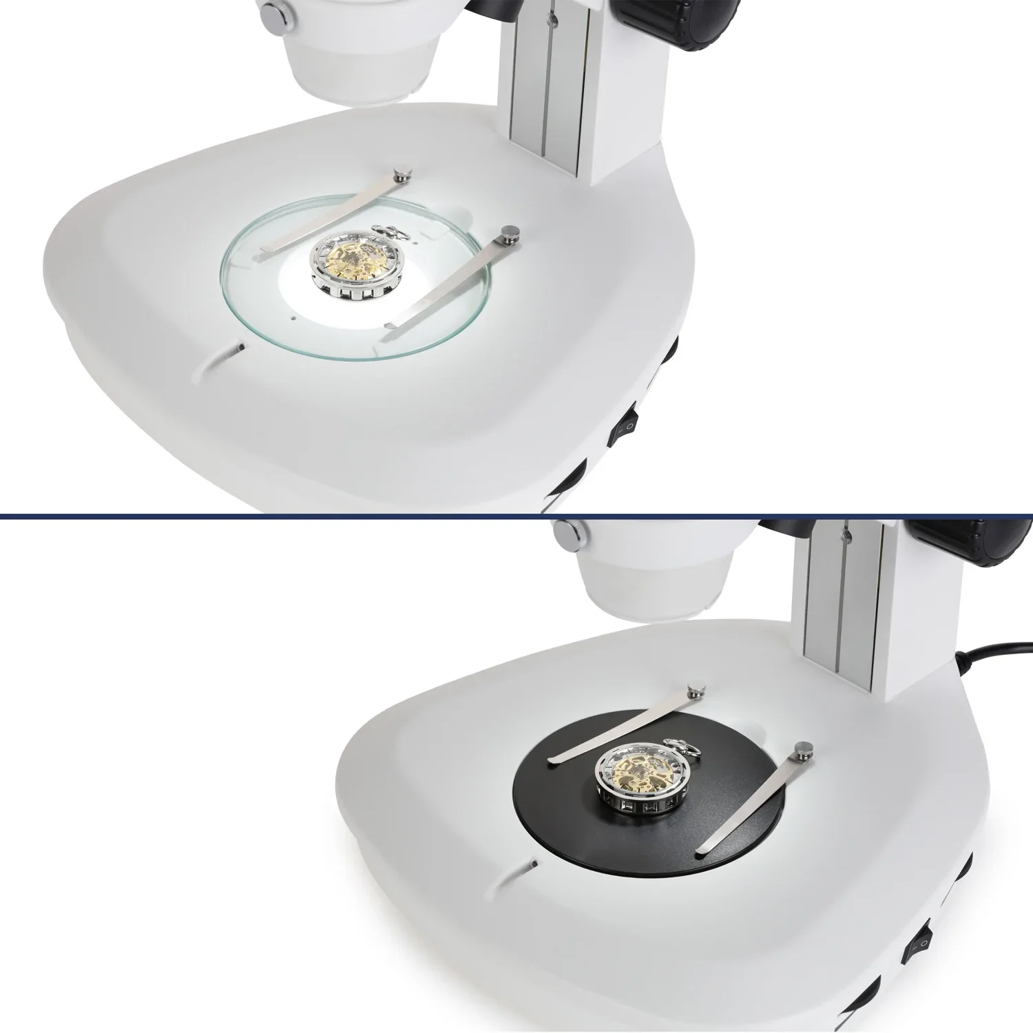 Microscopio Estéreo AmScope Con Zoom 3.5X-90X Y Cámara 1.3MP - Ideal Para Laboratorios