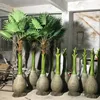 Custom coconut tree