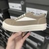 Camoscio grigio