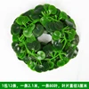 81-leaf begonia, 12 branches