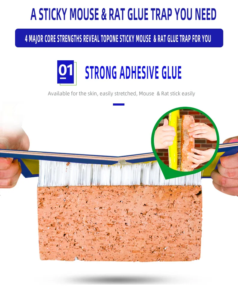 Mouse Glue Trap3.jpg