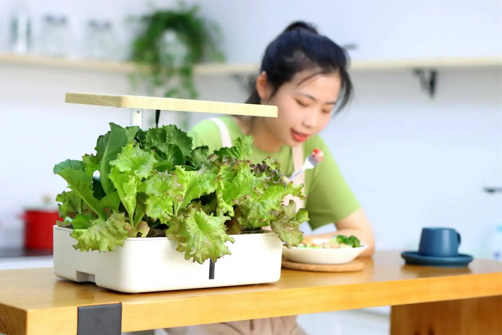 Sistema Di Coltivazione Idroponica RoseFlower - 12 Posti, Con Luce LED Regolabile, Autoirrigante - Per Erbe E Verdure Indoor - Foto 5