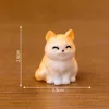 No.6 Gatto arancione