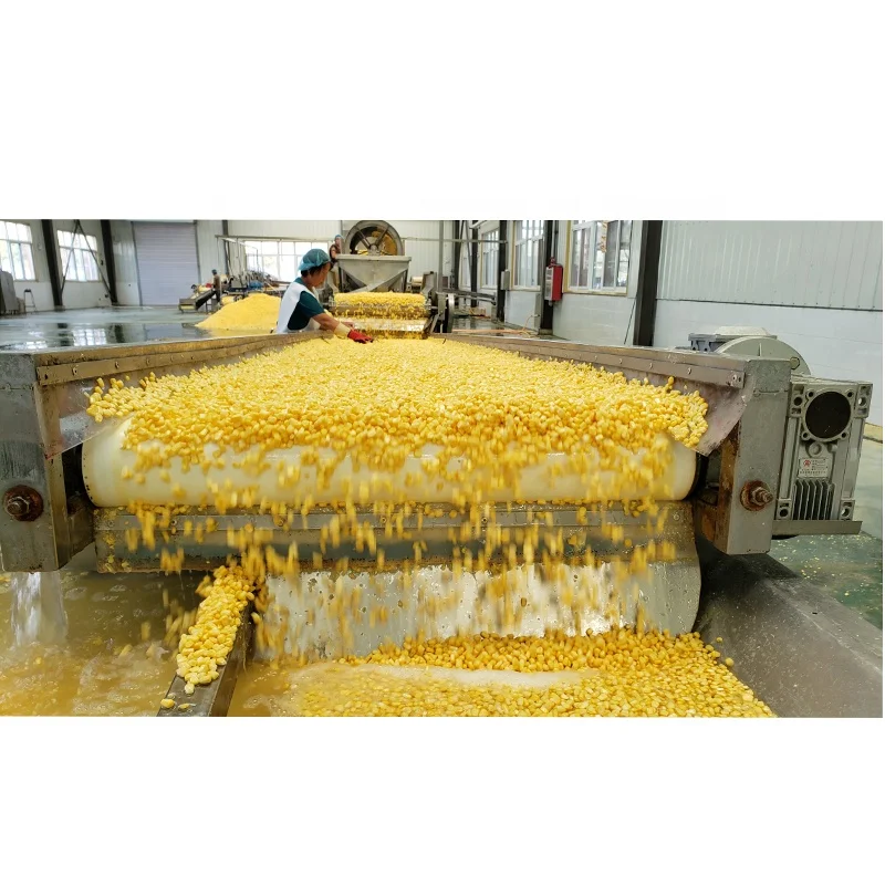 中国出口商,优惠的价格点定制产品和品牌选择大规模供应罐装甜仁玉米