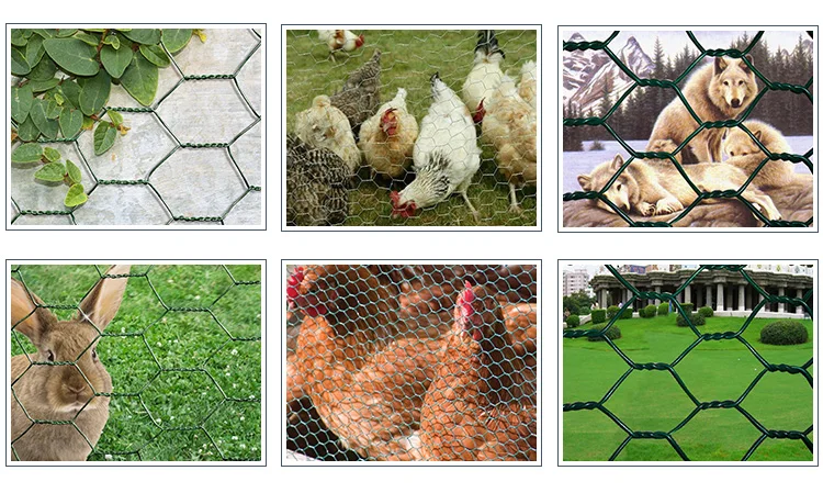 Pvc Coated Hexagonal Wire Mesh Chicken Fence For Poultry Farm Mesh Net ...