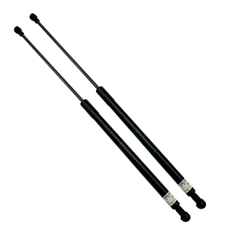 Lexus LS460/460L Hood Lift Support - High-Quality TNG Parts
