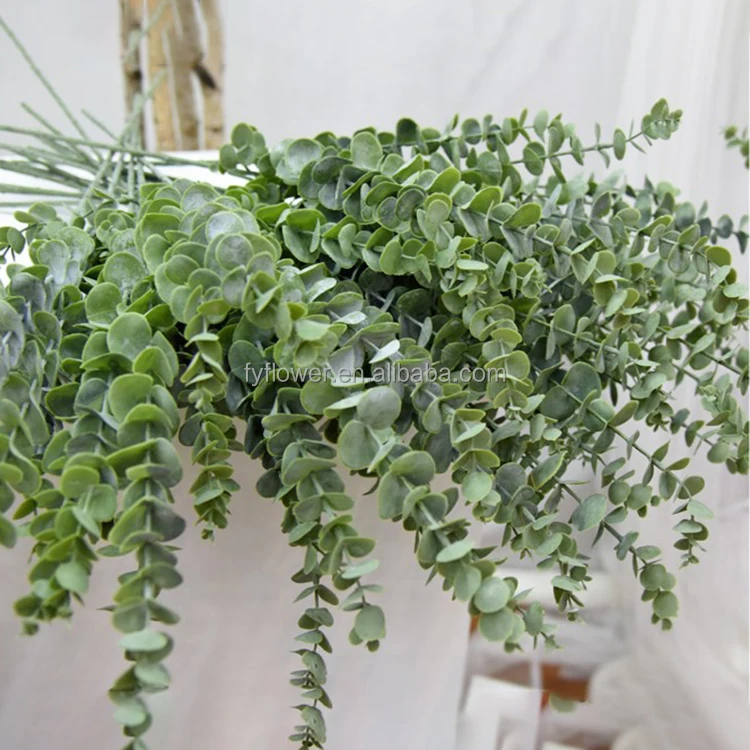 Fuyuan Fresh Eucalyptus Bundle Hanging For Shower Dried Eucalyptus