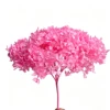 rosa brillante