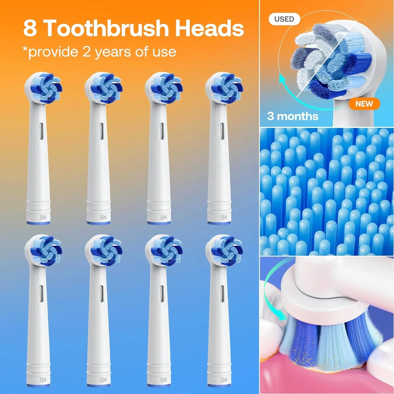 Bitvae BV R1 Rotating Electric Toothbrush with 8 Brush Heads for Adults and Kids