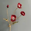Rosso1