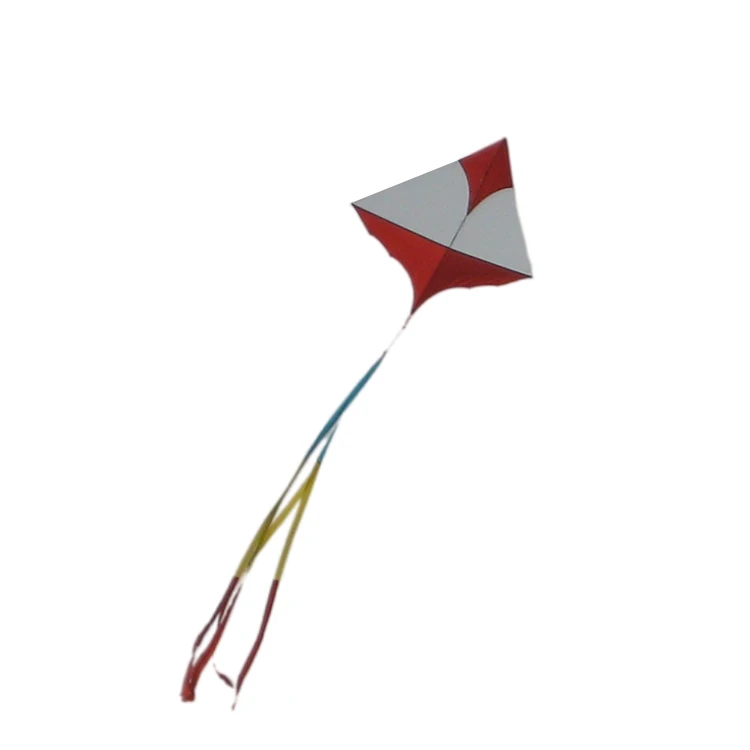 Hot Sell Huge 3D Kite For Flying