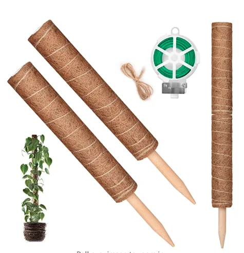 тотем из кокосового волокна. тотем для цветов. тотем для цветов. тотем из кокосового волокна. монстера моссток.