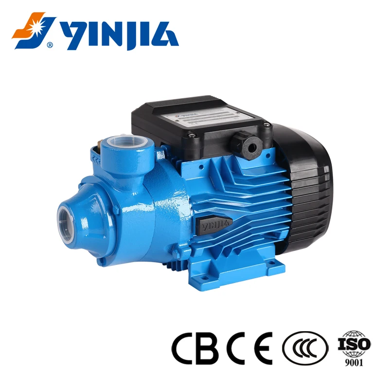 1HP New Design Single Phase 100%Copper Wire Booster Peripheral Water Pump  for House Use - Main Image